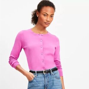 Loft modern crew neck cardigan in Sugar Plum